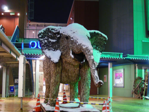 DSCN2348.JPG