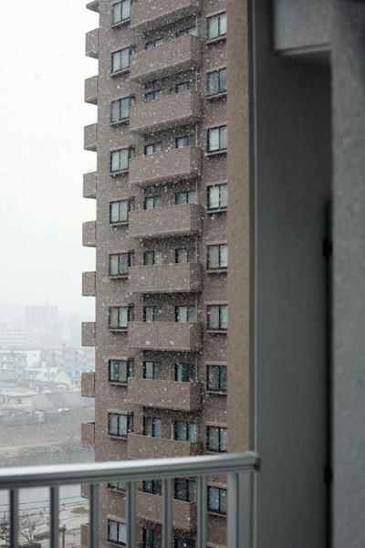 5028775c.JPG