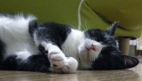DSCN2354.JPG