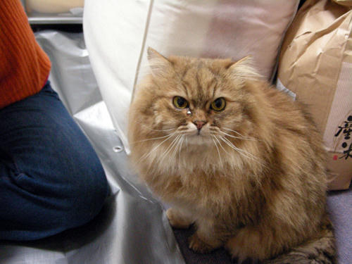 DSCN2358.JPG