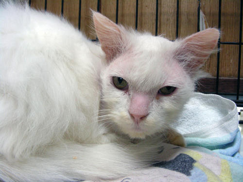 DSCN2363.JPG