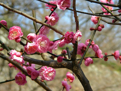 DSCN2380.JPG