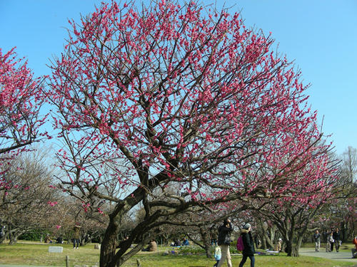 DSCN2395.JPG