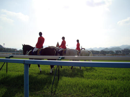 cf870dd4.JPG