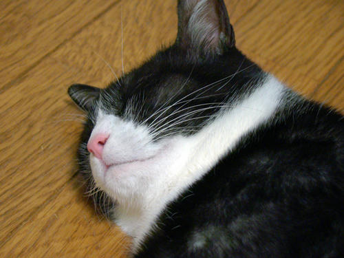 DSC00351.JPG