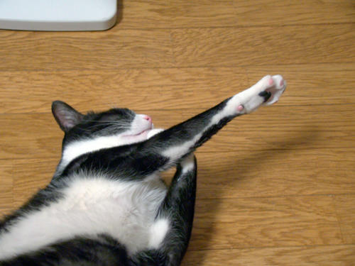 DSC00360.JPG