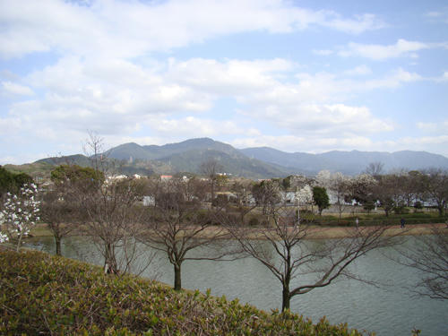 DSC00718.JPG