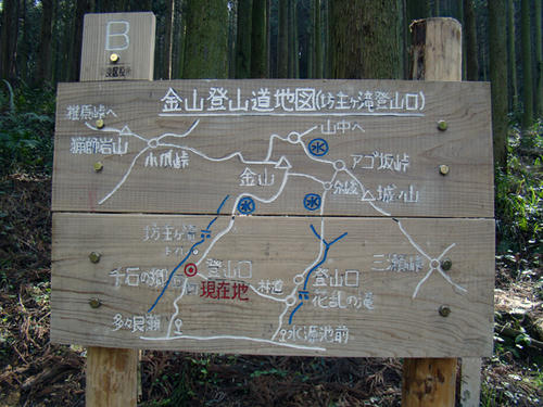 DSC00752.JPG
