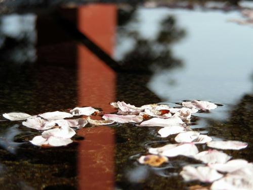 DSCN2490.JPG