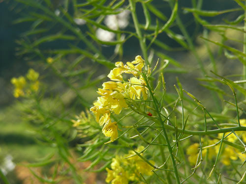 DSCN2505.JPG