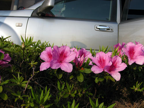 DSCN2515.JPG