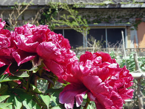 DSCN2520.JPG