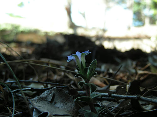 DSCN2546.JPG