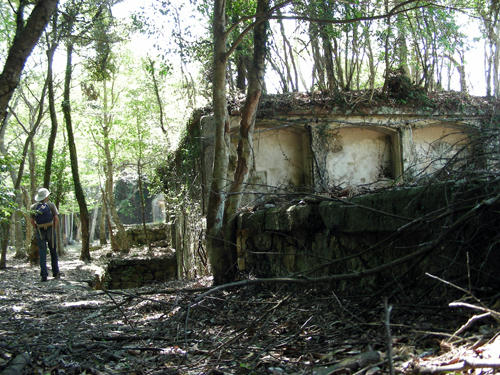 DSCN2549.JPG