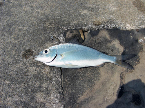 DSCN2596.JPG