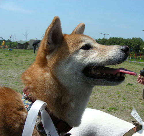 DSCN2600.JPG