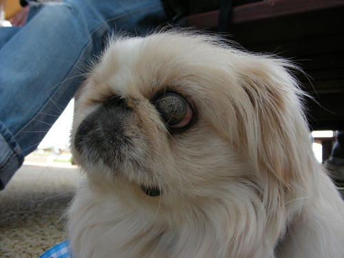 DSCN2602.JPG