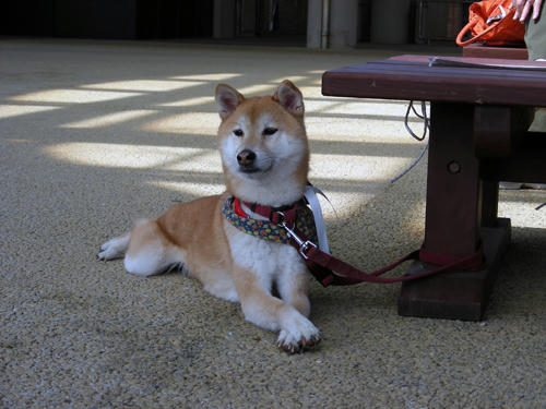 DSCN2603.JPG