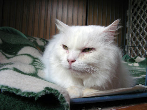 DSCN2614.JPG