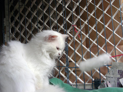 DSCN2618.JPG