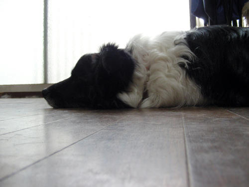 DSCN2628.JPG