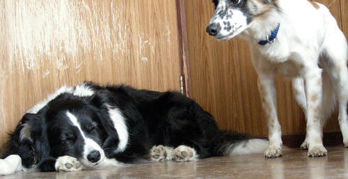 DSCN2631.JPG