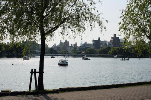 IMG_1825.JPG