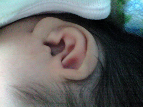 CA390077.JPG