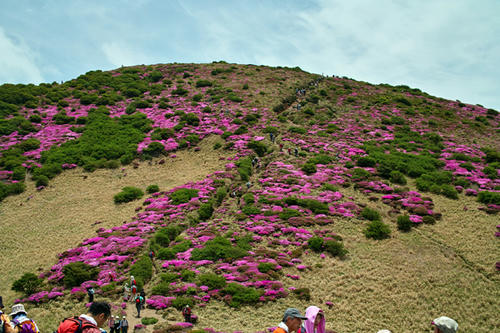SDIM0074.jpg