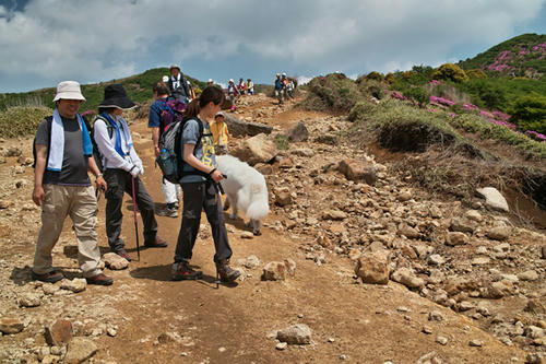 SDIM0094.jpg