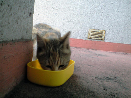 CA390088.JPG