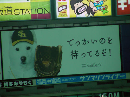 DSCN3120.JPG