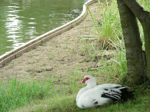 DSCN3181.JPG