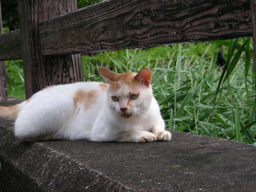 DSCN3185.JPG