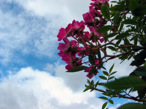 DSCN3201.JPG