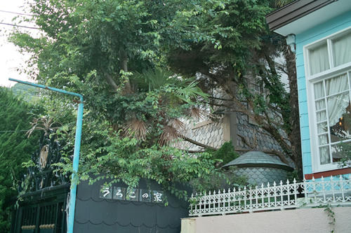 246e4626.jpg