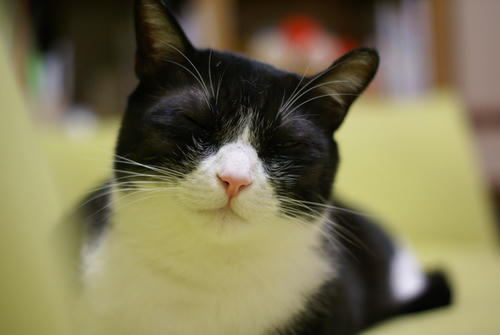 DSC00094.JPG