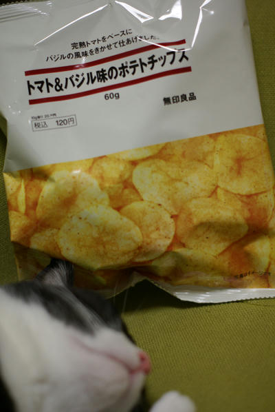 DSC00102.JPG