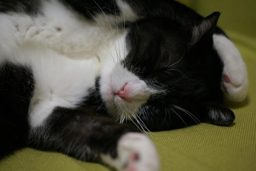 DSC00113.JPG