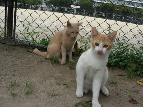 DSCN3695.JPG
