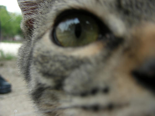 DSCN3696.JPG