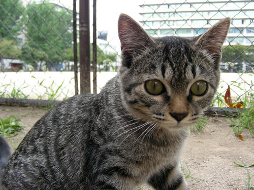 DSCN3697.JPG