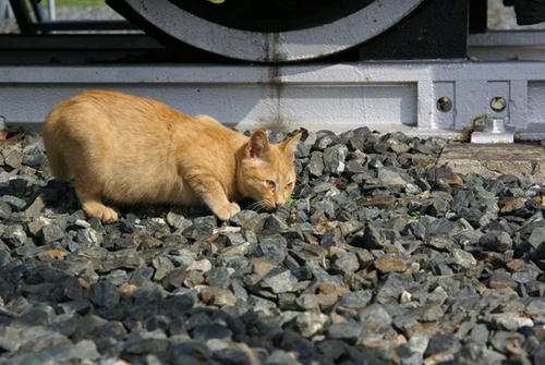 DSC00027.JPG
