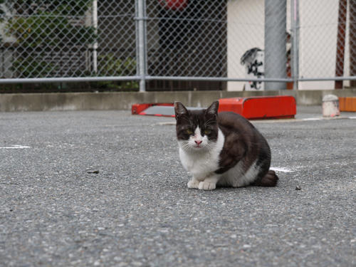P1000368.JPG