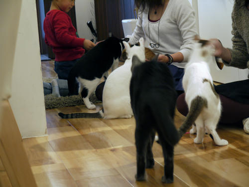 P1000370.JPG