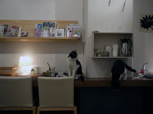 P1000371.JPG