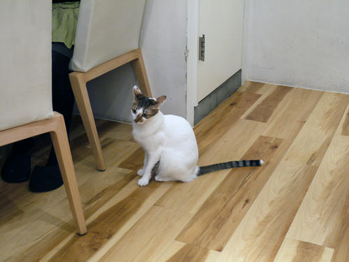 P1000374.JPG