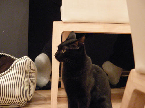 DSCN3942.JPG