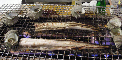 DSCN3981.JPG