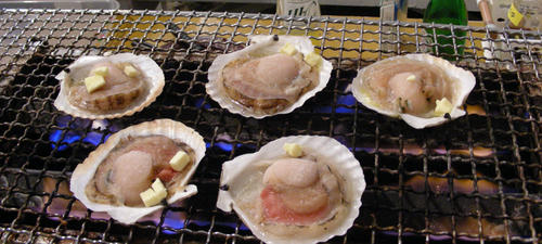 DSCN3983.JPG